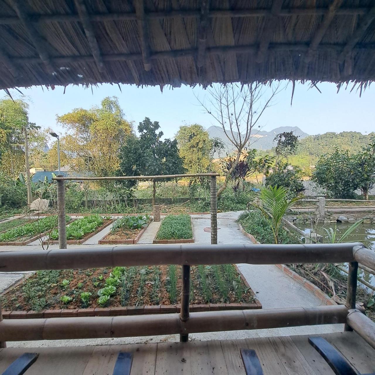 Homestay Field - Bungalow, Ha Giang Loop Tour, Motorbikes Rental Exterior foto