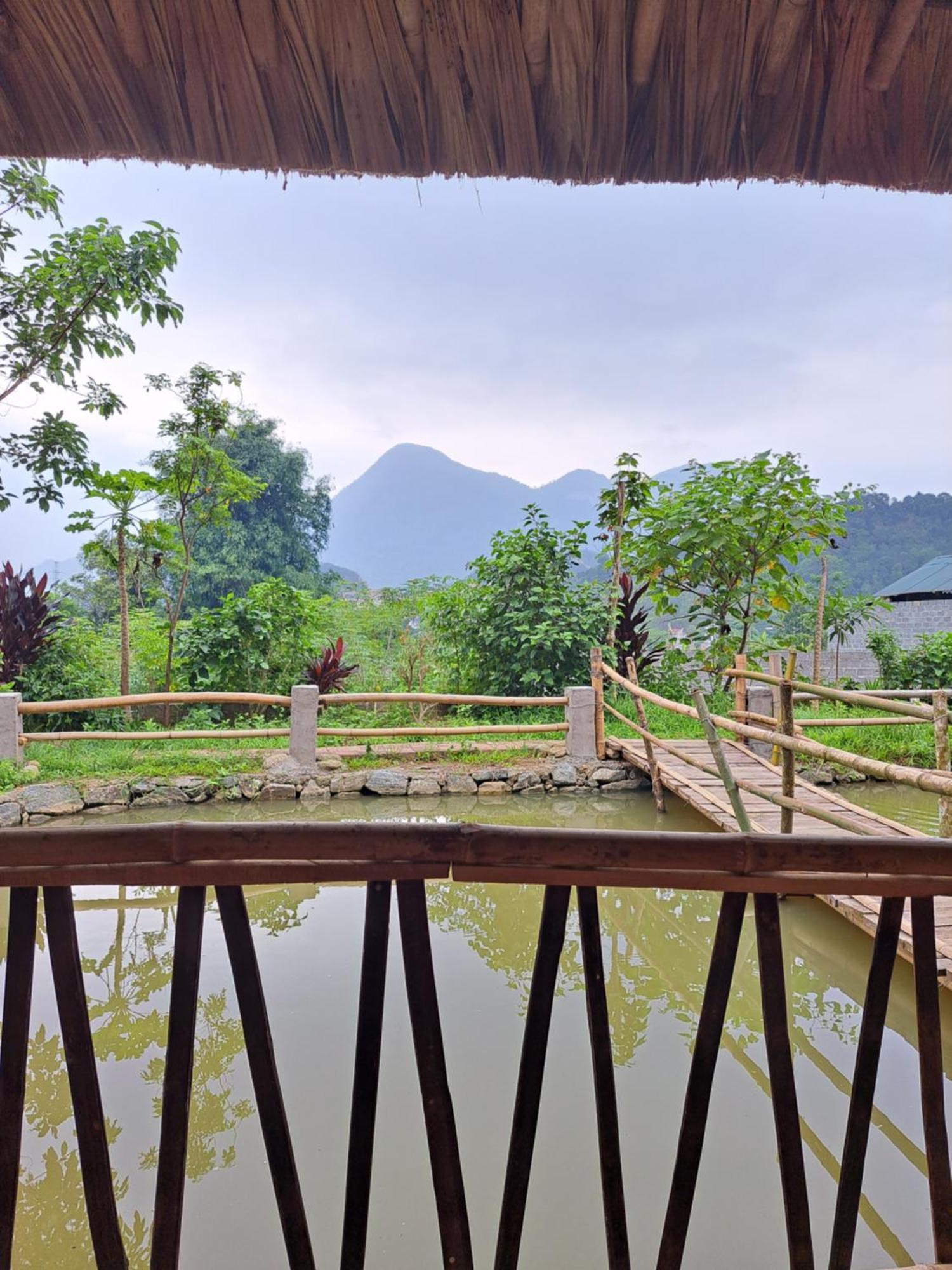 Homestay Field - Bungalow, Ha Giang Loop Tour, Motorbikes Rental Exterior foto
